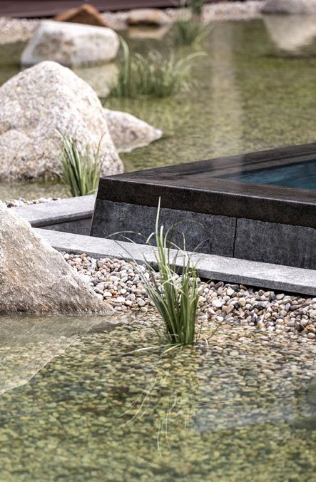 Laghetto naturale accanto alla piscina infinity dell'Hotel Anderlahn