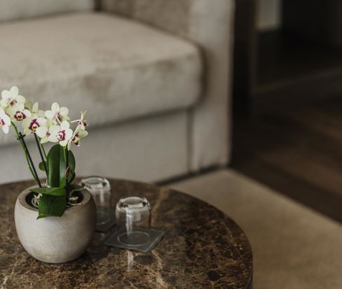 Couch and table - Vital Garden Suite