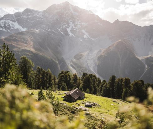 Prato alpino con baita e montagne sullo sfondo