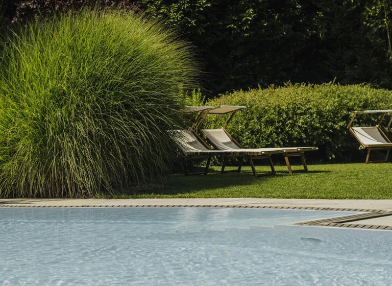 Garden with pool