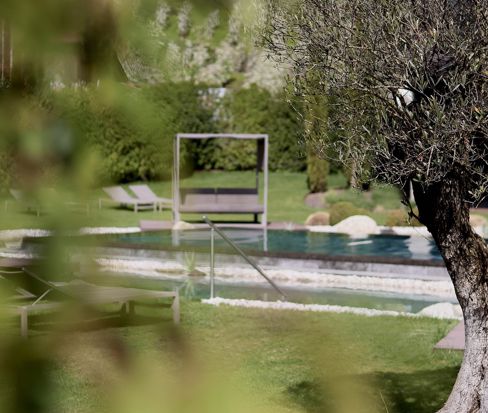 Hotel garden with infinity pool and canopy bed