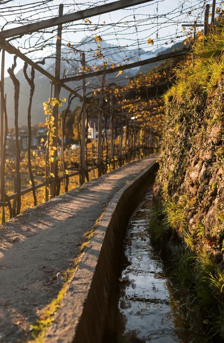 Waalweg trail with pergola along the irrigation channel