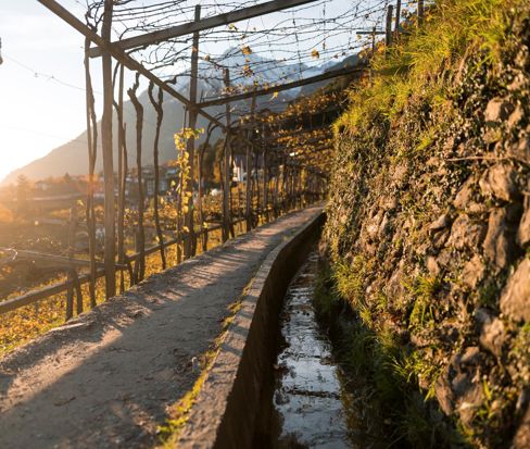 Sentiero della roggia con pergolato lungo il canale
